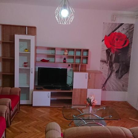 Apartments Vesna Kampor Ngoại thất bức ảnh