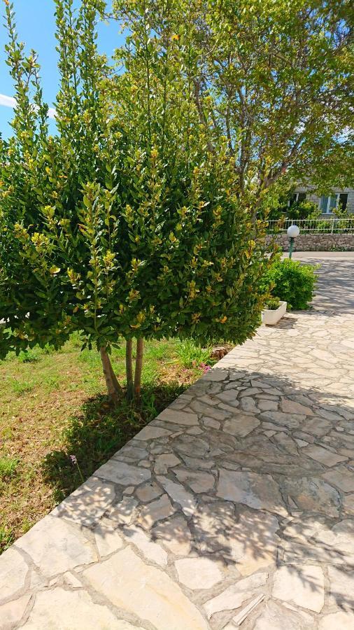 Apartments Vesna Kampor Ngoại thất bức ảnh